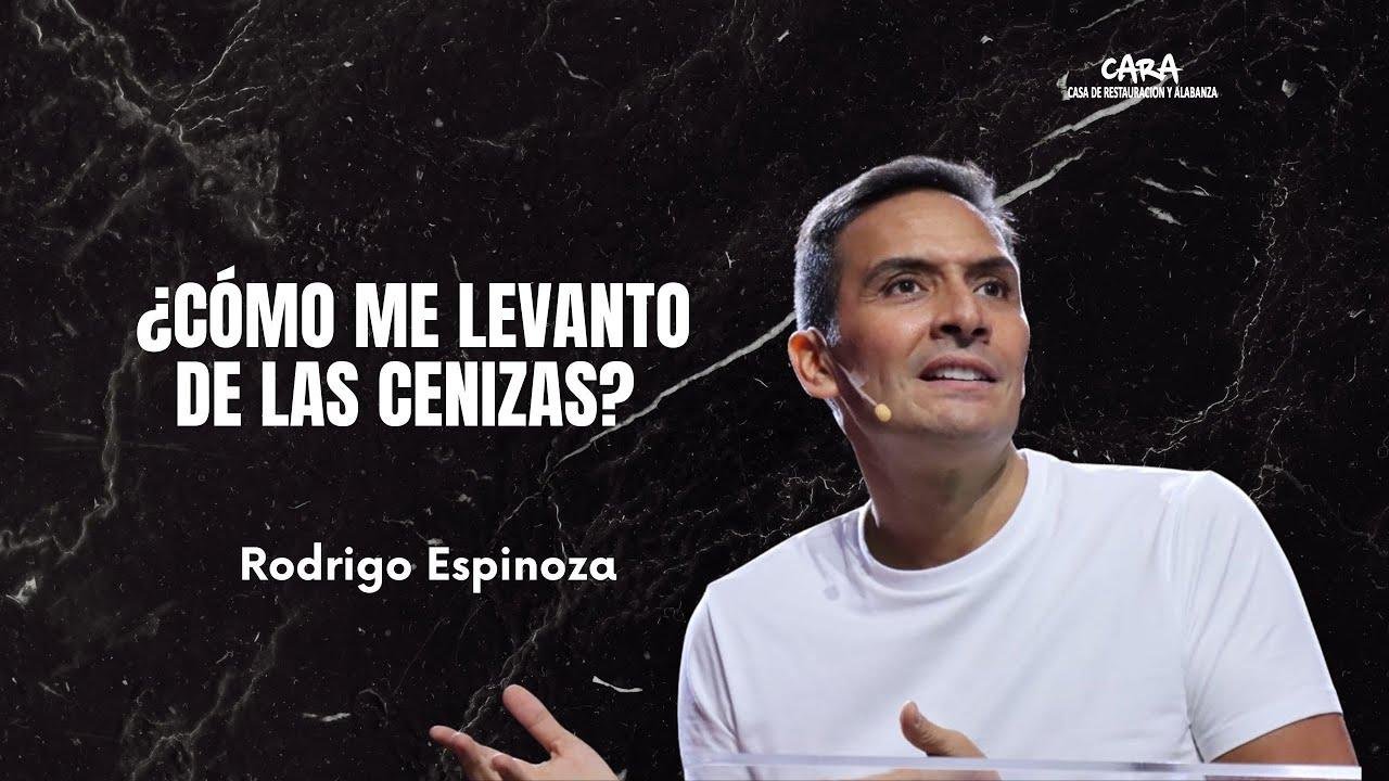 como me levanto de las cenizas